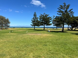 South Beach, Fremantle, Perth, Western Australia, Australia