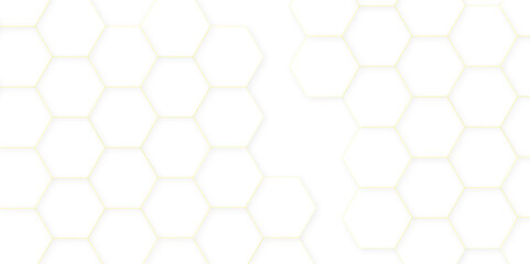 Abstract white background. Luxury white pattern with hexagons. abstract 3d hexagonal background. modern background with hexagons. Geometric mesh cell texture. modern futuristic wallpaper.