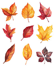 illustrations of various trees, leaves, grasses, and botanical elements on white background.