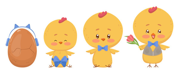 Stages of chick's maturation from egg to rooster. Set of vector isolated drawings. Yellow baby, chick, teenager, male. Festive design of children's party, Birthday, Easter