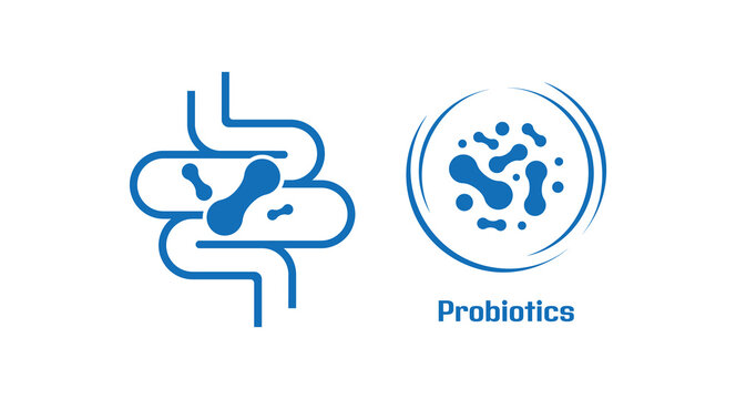 probiotics icon healthy lifestyle sign	