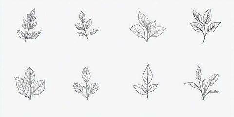 minimalistic farm basil icons set