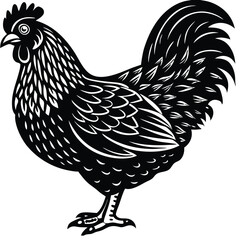 Adobe Illustrator ArtworkChicken Vector Illustration in Pen and Ink Isolated on White