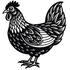 Adobe Illustrator ArtworkChicken Vector Illustration in Pen and Ink Isolated on White