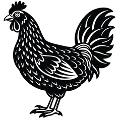 Adobe Illustrator ArtworkChicken Vector Illustration in Pen and Ink Isolated on White