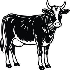 Adobe Illustrator ArtwoBlack and white cow-vector drawing-isolated white backgroundrk