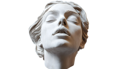 Venus Head Replica Sculpture in Gypsum on White Background - Professional Image Usage