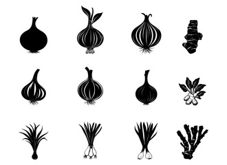 Onion icons set, hand drawn style Vector Set