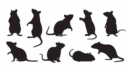 Rat Silhouette vector set