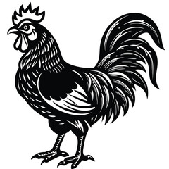 Adobe IllustratorVector illustration of rooster isolated on white background. For kids coloring book. Artwork