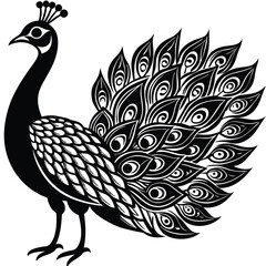 Adobe Illustrator ArtworkPeacock Vector Silhouette, Peacock Illustration, Peacock Art Hand Drawn Line Art, Black and White Peacock