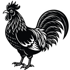 Adobe IllustratorVector illustration of rooster isolated on white background. For kids coloring book. Artwork