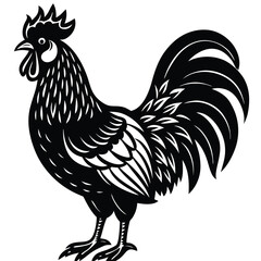 Adobe IllustratorVector illustration of rooster isolated on white background. For kids coloring book. Artwork