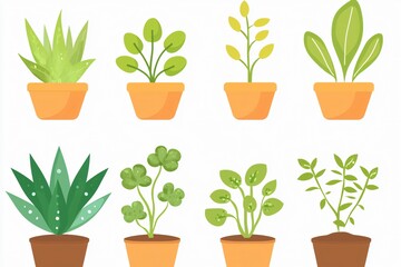Stylish Minimalist Illustration of Diverse Potted Plants for Botanical Study and Home Decor