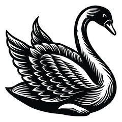 Fototapeta premium Adobe IllustrIllustration of five black swans in different positionsator Artwork