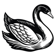 Fototapeta premium Adobe IllustrIllustration of five black swans in different positionsator Artwork