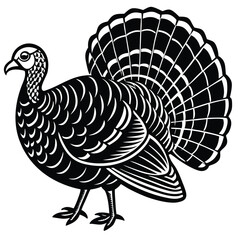 Fototapeta premium Adobe Illustrator ArtwBlack Turkey on Black Background with 'Turkey' Text | Printable Graphic Designork