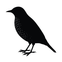 Weaverbird Silhouette Vector Art Design - Black and White Weaverbird Bird Vector Illustration