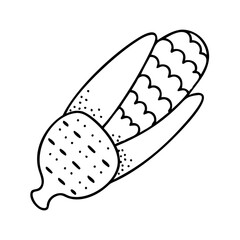 A Simple Line Drawing of an Ear of Corn with Husk Partially Removed Showing Kernels