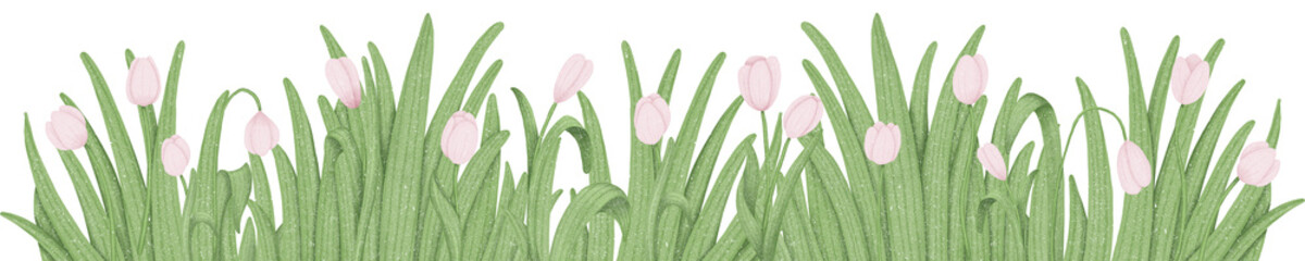 Grass and flowers border. Pink tulips decoration. Hand drawn illustration.