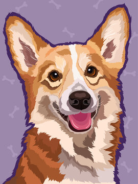 portrait of a dog korgi