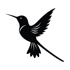 Sunbird Silhouette Vector Art Design and Black and White Sunbird Bird Vector Illustration