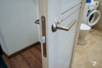 The image shows a closeup of a beautifully crafted bathroom door, highlighting its elegant handle and showcasing the remarkable construction and intricate artistic details