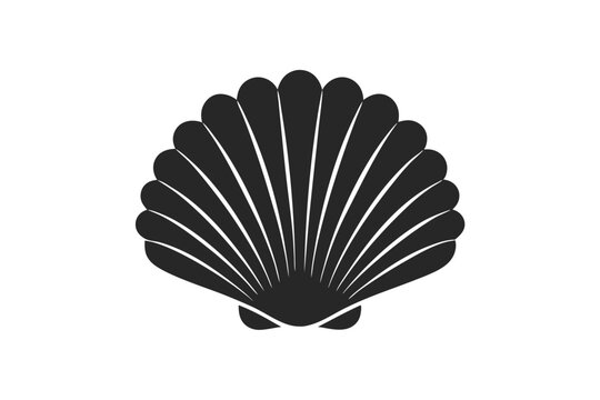 seashell silhouette vector illustration
