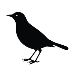 Thrush Silhouette Vector Art Design, Black And White Thrush Bird Vector Illustration