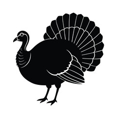 Turkey Silhouette Vector Art Design | Black and White Turkey Bird Vector Illustration
