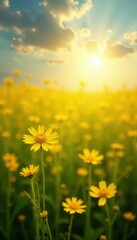 Obraz premium Vibrant yellow sun-drenched field of wildflowers, hot, sun, sky