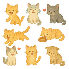 Tabby Orange Cat pose on transparent background2Sign Little Board
