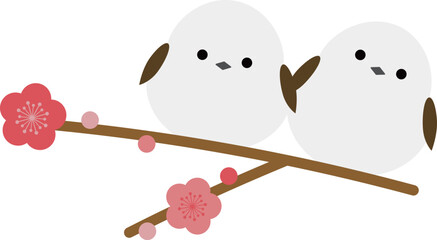 シマエナガと梅の花