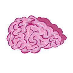 stylized brain. vector illustration. medicine, horror, science. Anatomy.
