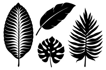 set of tropical leaf silhouette vector illustration © tanvir