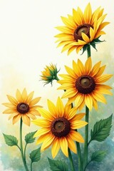 Fototapeta premium Vibrant Watercolor Sunflowers , bright, bloom