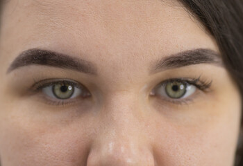 Fototapeta premium woman with green eyes and a dark eyebrow. The woman has a light brown eyebrow