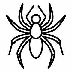 spider on a white background
