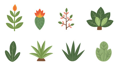 Illustrated green plants with various leaves on white