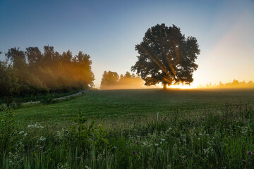 Fototapeta premium The light comes over the hill