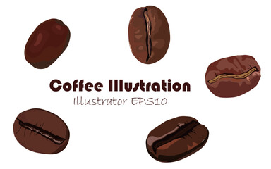 Coffee beans illustration, coffee beans illustrations at various angles