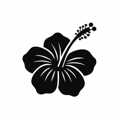 hibiscus flower icon silhouette vector illustration © tanvir
