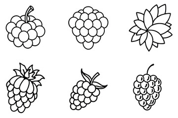 Raspberry Grapes Han Enjoy a Fruitful Adventure