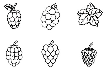 Raspberry Grapes Han Experience Nature's Juicy Bliss