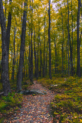 Autumn colors in Quebec