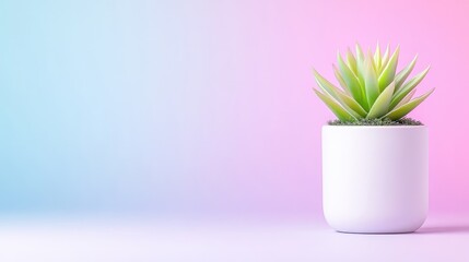 Obraz premium Minimalist succulent in a white pot against a soft pastel gradient background