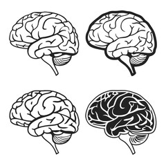human brain vector illustration