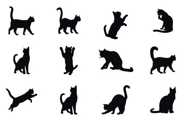 Cat Silhouette Collection Various Poses Black Figures On White Background Feline Animal Vector Illustration Set