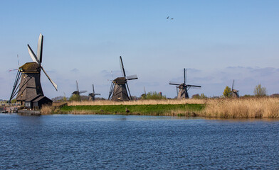 historische Windm&uuml;hlen in Holland 