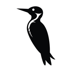 Woodpecker Silhouette Vector Art Design - Black and White Woodpecker Bird Vector Illustration